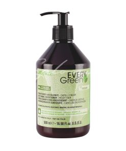 Acondicionador Anti Frizz Every Green 500ml