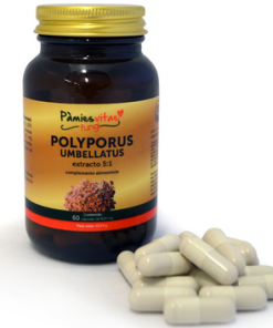 Poliporus umbellatus PV, 60cap. Pámies Vitae