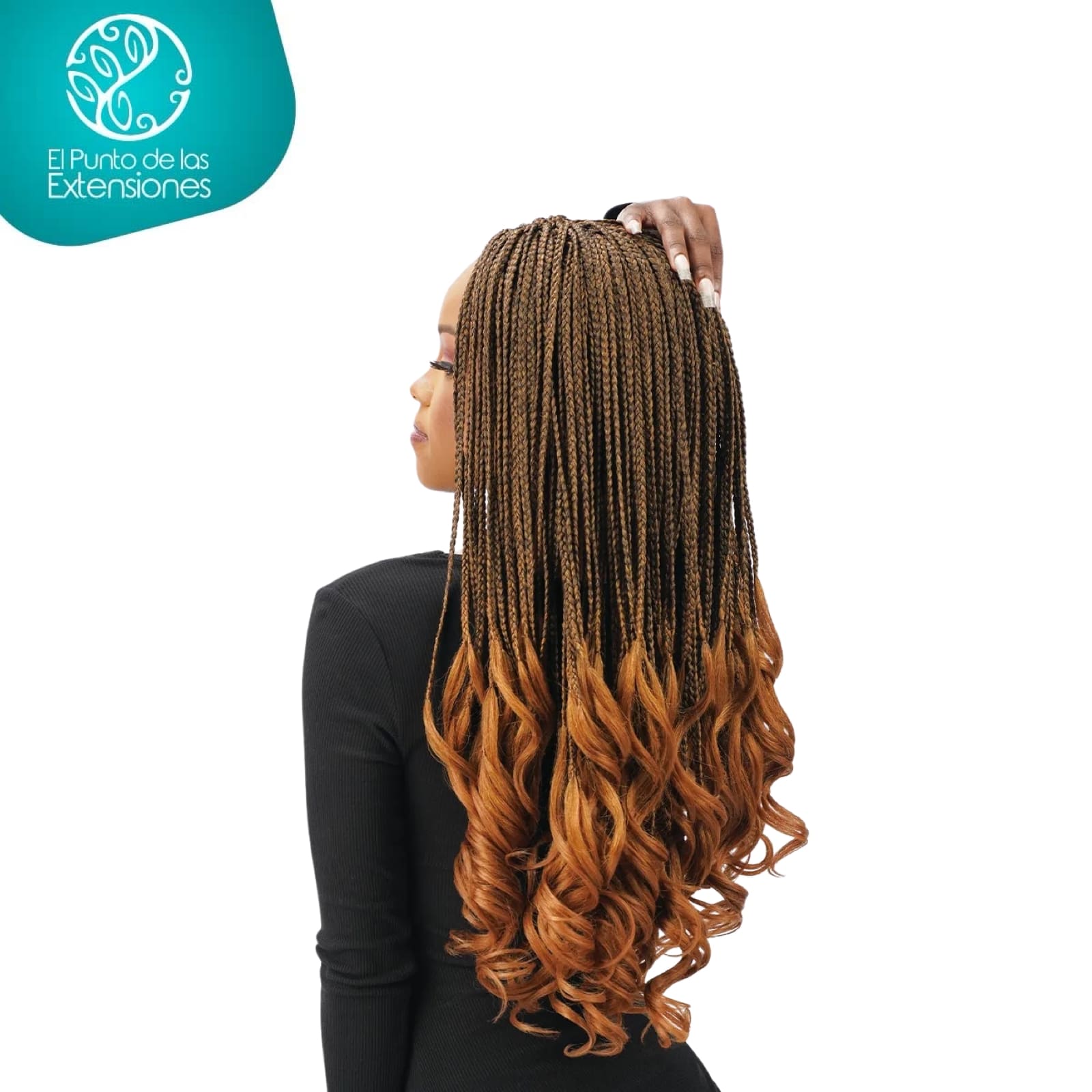 TRENZAS FRANCESAS - Imagen 3